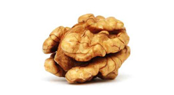 jelinski nuss contact